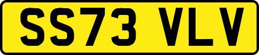 SS73VLV