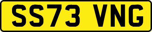 SS73VNG