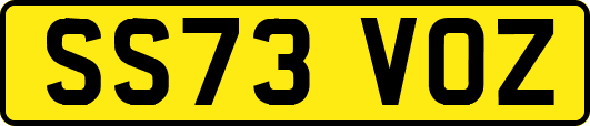 SS73VOZ