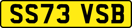 SS73VSB