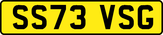 SS73VSG