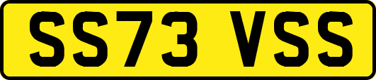 SS73VSS