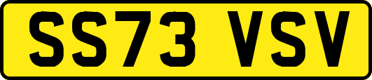 SS73VSV