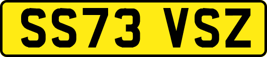 SS73VSZ
