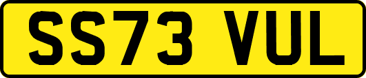 SS73VUL