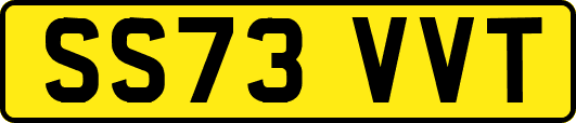 SS73VVT