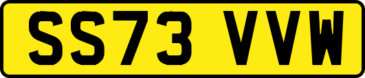 SS73VVW
