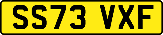 SS73VXF