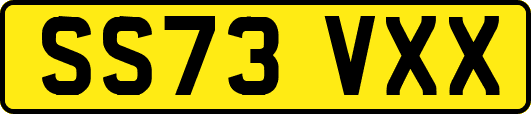 SS73VXX