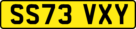 SS73VXY