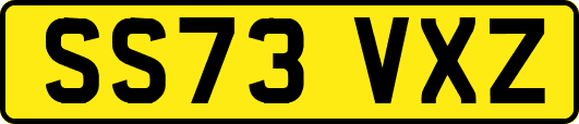 SS73VXZ