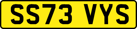 SS73VYS