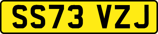SS73VZJ