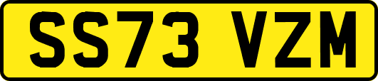 SS73VZM