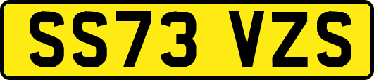SS73VZS