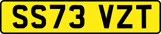 SS73VZT