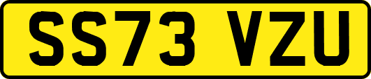 SS73VZU