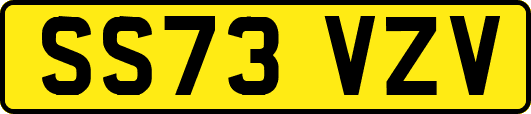 SS73VZV