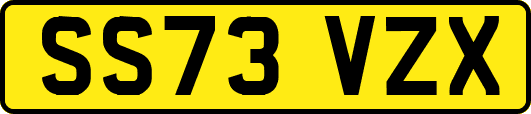 SS73VZX