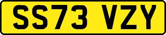 SS73VZY