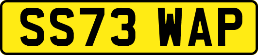 SS73WAP
