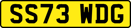 SS73WDG