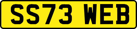 SS73WEB