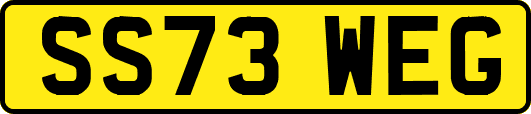 SS73WEG