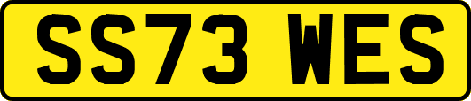 SS73WES