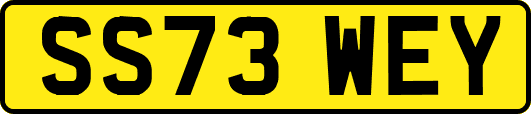 SS73WEY