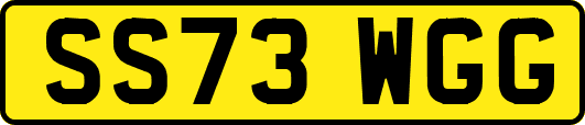 SS73WGG