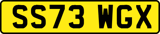 SS73WGX