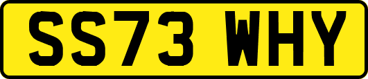 SS73WHY