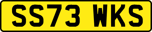 SS73WKS