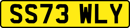 SS73WLY