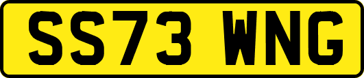 SS73WNG