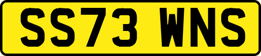 SS73WNS