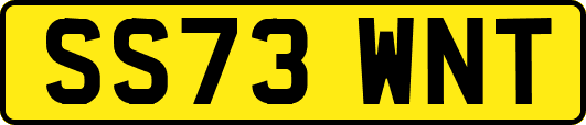 SS73WNT
