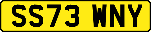 SS73WNY