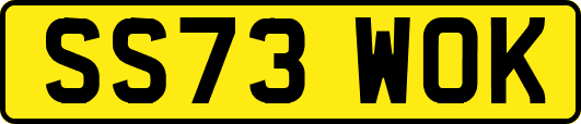 SS73WOK