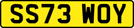 SS73WOY