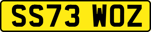 SS73WOZ