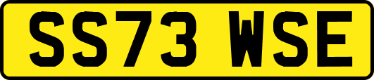 SS73WSE