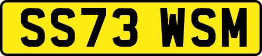SS73WSM