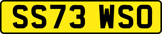 SS73WSO