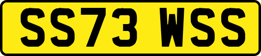 SS73WSS