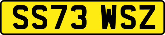 SS73WSZ