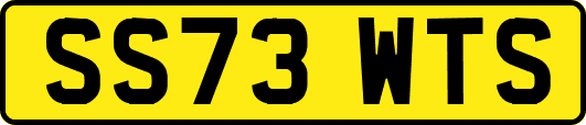 SS73WTS