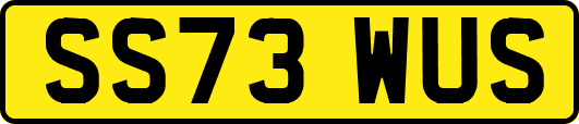 SS73WUS