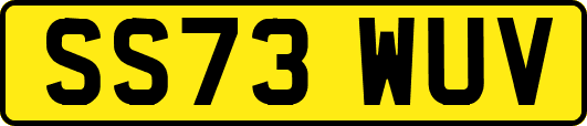 SS73WUV